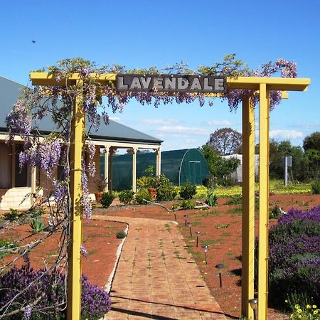 Вілла Lavendale Country Retreat Йорк Екстер'єр фото